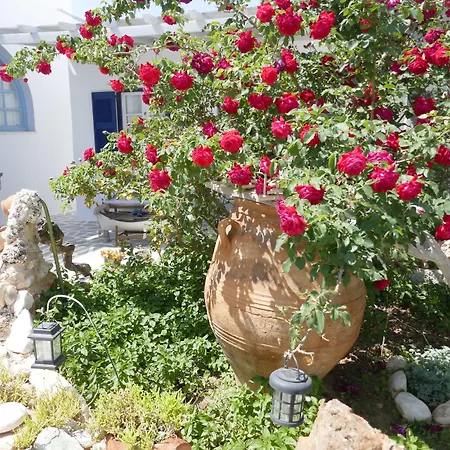 Stavros Λογαράς