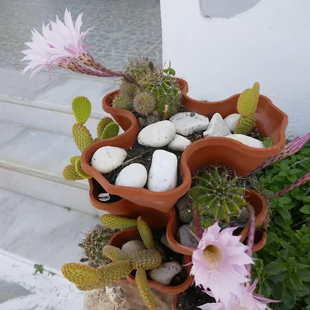 Stavros Λογαράς