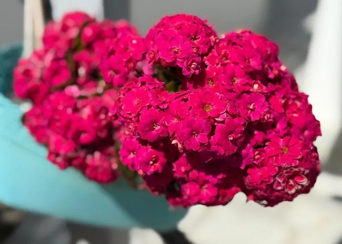 Stavros Apartmanhotel 4*