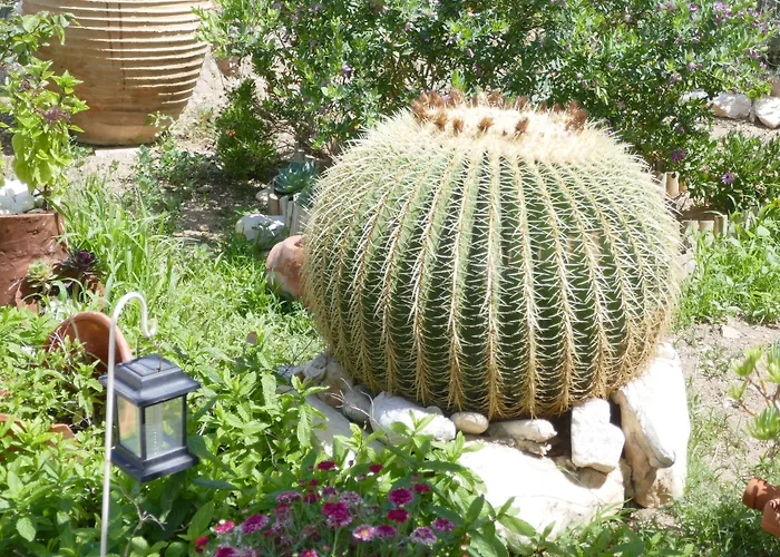 Stavros Apartmanhotel Logarász