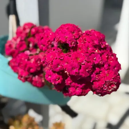 Stavros Appart hôtel 4*